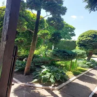 Fotografia ogrodu